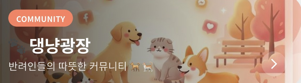 댕냥광장 - 반려인들의 따뜻한 커뮤니티